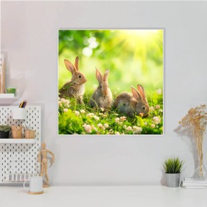 Banjado Magnettafel 50x50cm mit Hasenmotiv. Weiße Magnetwand/Pinnwand inkl. 4 Magnete. Wanddekoration.