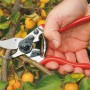 Felco 6 Gartenschere im Einsatz: Hand schneidet Ast mit der roten Baumschere im Garten.