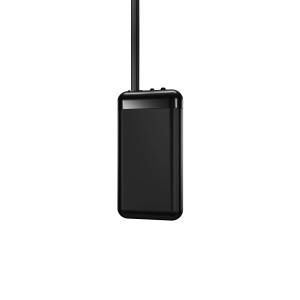 Dennerle Aquarienheizung Heater Constant 35 W, ein kompakter, schwarzer Regelheizer für Aquarien.