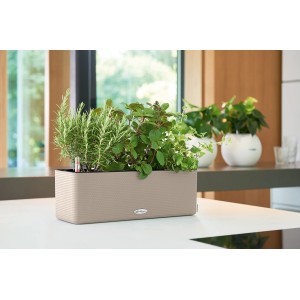 Lechuza Cube Color Triple Pflanzgefäß, 40 cm, sandbraun, bepflanzt mit Kräutern.