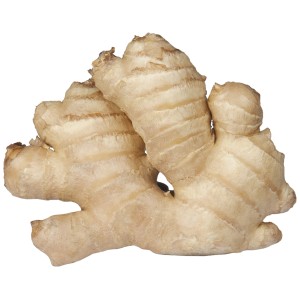 Frischer, ganzer Ingwer (Zingiber officinale) mit beiger Schale. Ideal zum Kochen und für Tee.