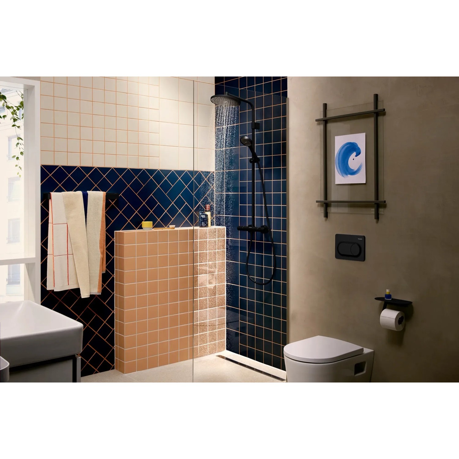 Hansgrohe Duschkopf Activera Select S Handbrause 2 Jet EcoSmart Mattschwarz_5