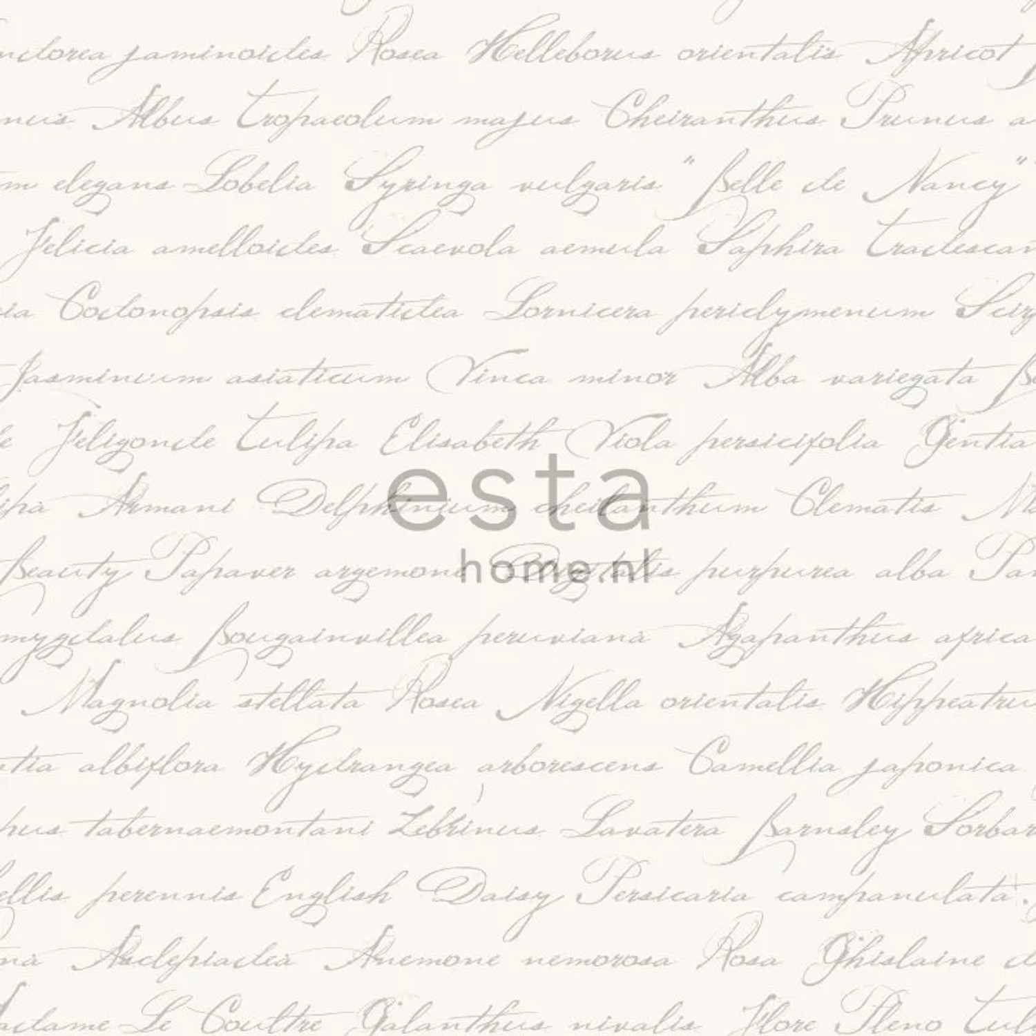 ESTAhome Tapete Handgeschriebene Lateinische Blumennamen Silber 53 Cm X 1005 Cm 128031_7