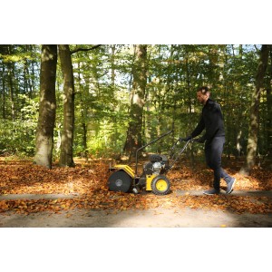 Texas Benzin-Kehrmaschine Handy Sweep 710TGE im Einsatz auf einem Laub bedeckten Weg.