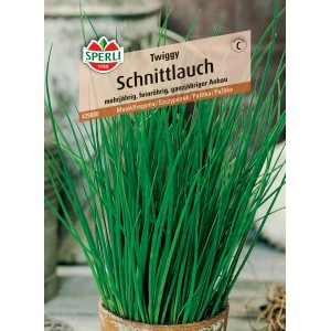 Sperli Saatgut Schnittlauch Twiggy