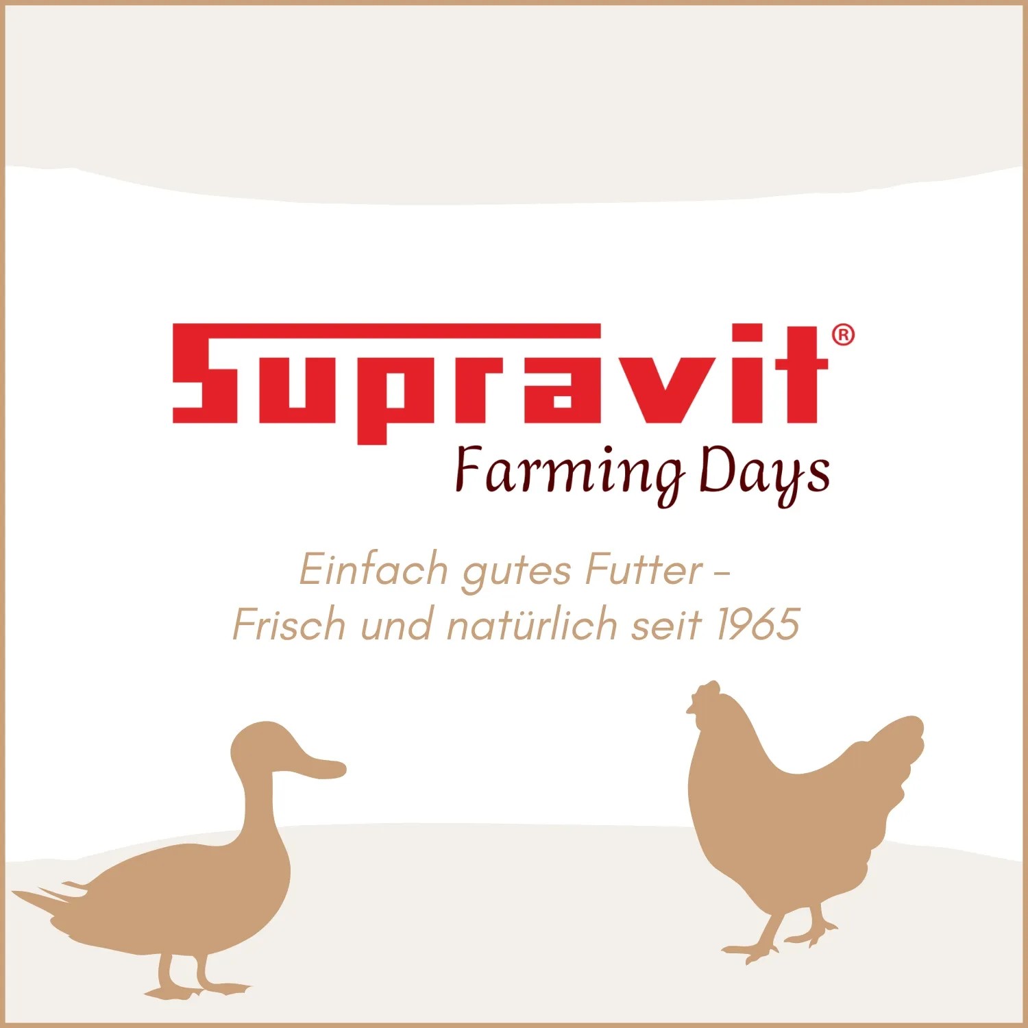 Supravit Legemehl für Hühner Geflügel_8