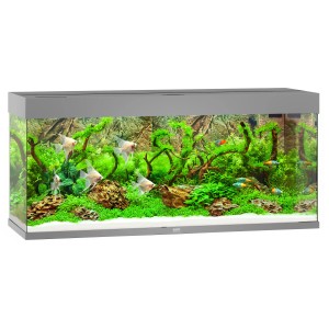 Graues Juwel Aquarium Rio LED 240 l Komplettset mit Fischen und Pflanzen.