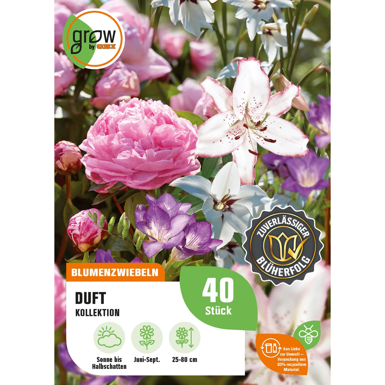 GROW by OBI Duft-Kollektion Höhe ca. 25 cm - 80 cm günstig online kaufen