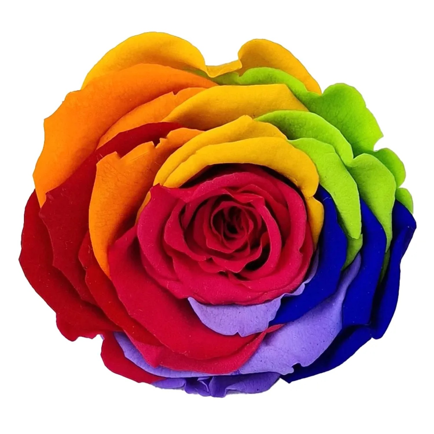 Rainbow Rosenbox: 14 regenbogenfarbige Rosen in schwarz-goldener Box (Ø 19cm).