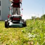 metabo Akku-Rasenmäher RM 36-18 LTX BL 46 im Einsatz auf einer Rasenfläche.