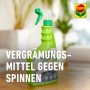 Compo Spinnen-Raus Spray 750ml, anwendungsfertig gegen Spinnen und zur Reduktion von Spinnennetzen.