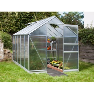 Vitavia Gewächshaus Apollo 6200 mit Alu-Rahmen, Hohlkammerplatten und geöffneter Tür im Garten.