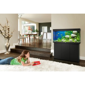 Schwarzes Juwel Aquarium-Set Rio LED 180 l im Wohnzimmer mit Fischen und Dekoration.