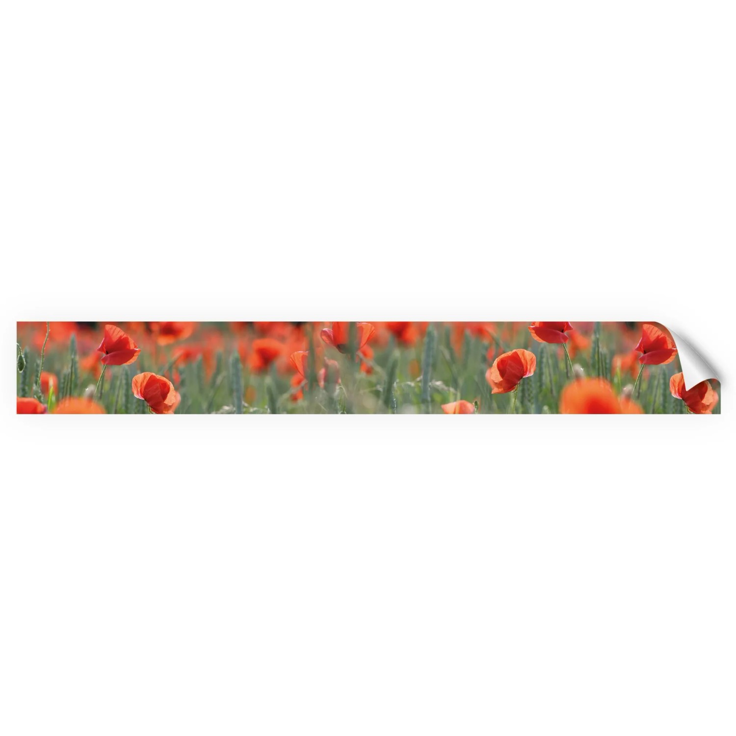 Myspotti Küchenrückwandfolie Mohn Selbstklebend 450 cm x 60 cm