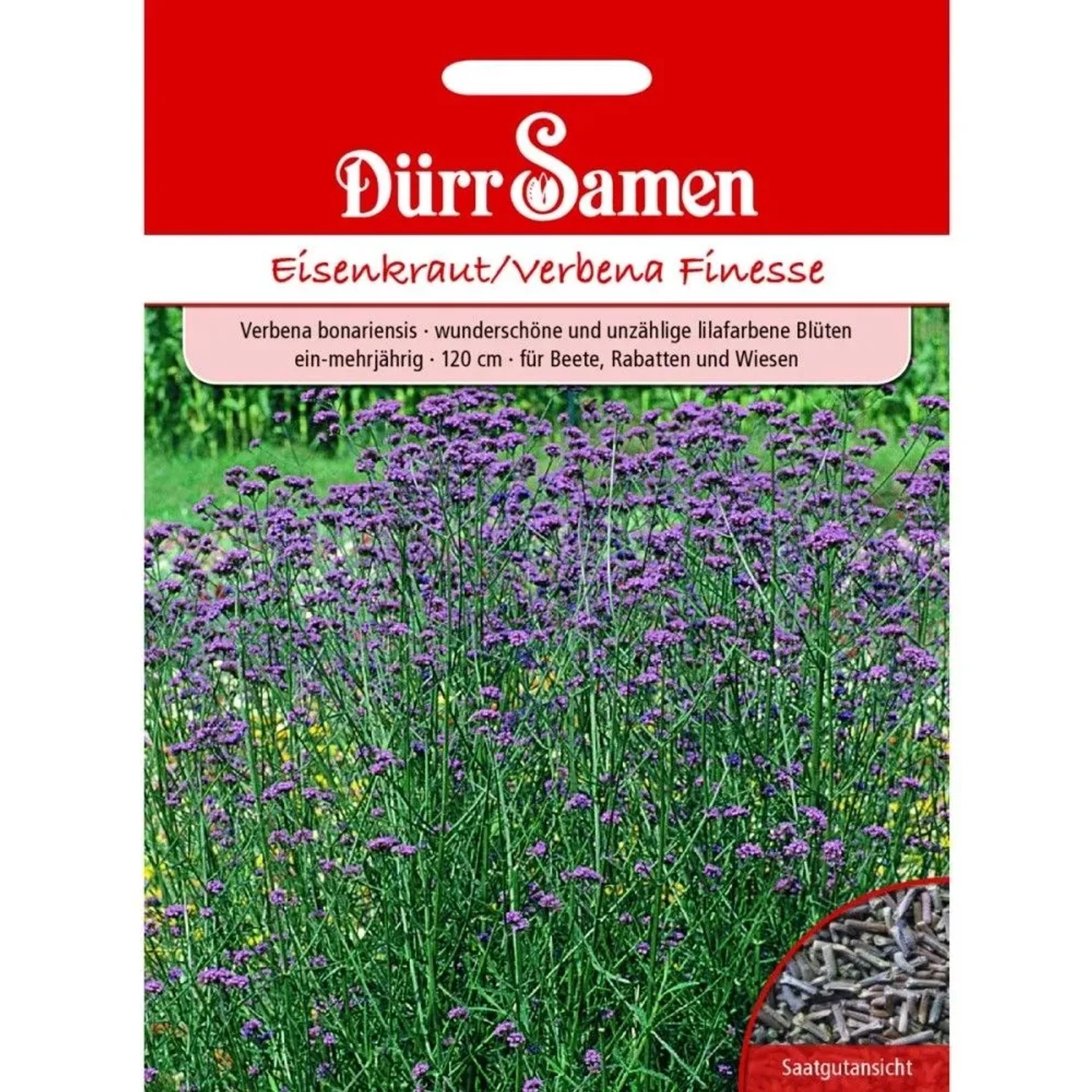 Dürr Samen Eisenkraut Finesse Lilafarbene Blüten Ein-Mehrjährig Saatgut