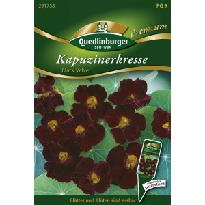 Samentüte Quedlinburger Kapuzinerkresse 'Black Velvet' mit dunkelroten Blüten.