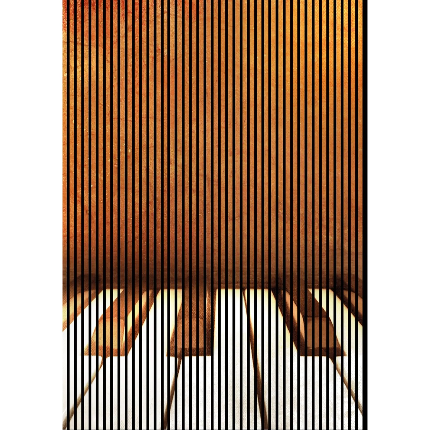 FN Acustico Akustikplatte Jazz 2 PET u. MDF Foliert 1.693 x 19 x 2.400 mm