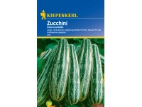 Zucchini Samen 'Coucourzelle' | Ertragreich, Robust & Mit Hübscher Gestreifter Schale