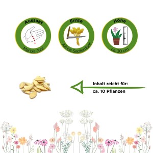 Salat- und Einlegegurken-Samen: Aussaat, Ernte, Höhe und Inhalt für ca. 10 Pflanzen.