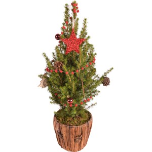 Dekorierte Zuckerhut-Fichte im Holztopf, geschmückt mit Stern, Kugeln und Girlande. Weihnachtsbaum für Innen und Außen.