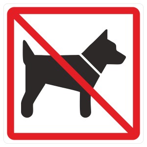 Türschild "Hunde verboten", 10x10 cm, aus Hard-PVC, mit rotem Verbotszeichen.