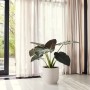 Elho Blumentopf Vibes Fold, rund, Ø 40 cm, leinenweiß, mit Pflanze im Wohnraum.