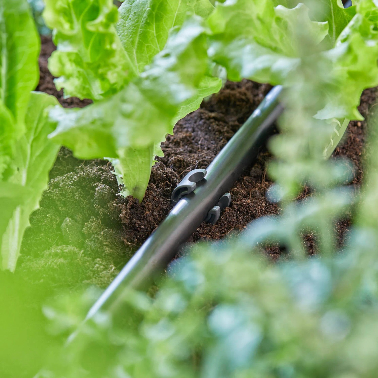 Gardena Rohrhalter (13mm) im Einsatz zur Fixierung eines Bewässerungsrohrs im Gartenbeet.