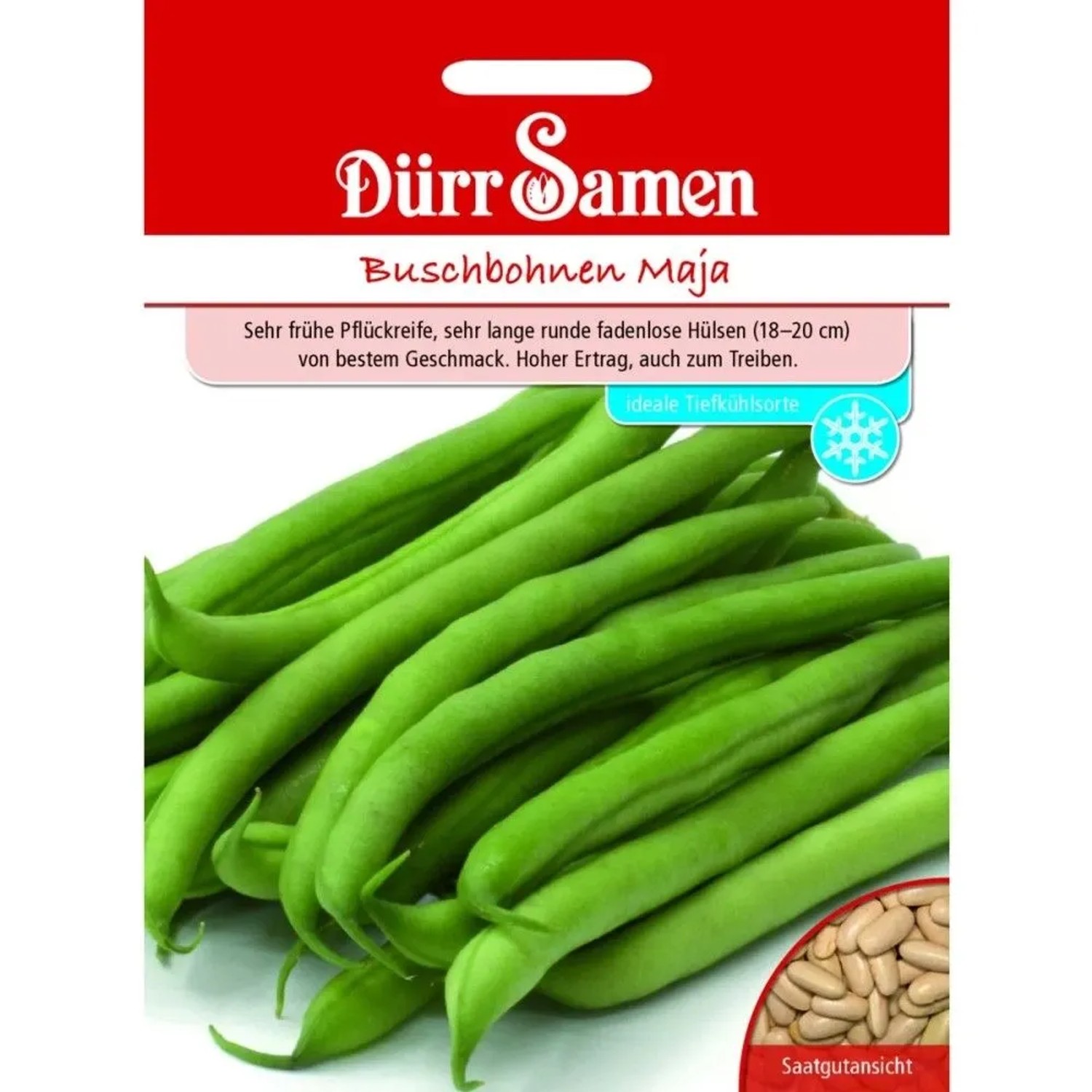 Dürr Samen Buschbohnen Maja Saatgut