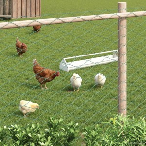 vidaXL Maschendrahtzaun Grün 2 x 10 m Stahl 42033070