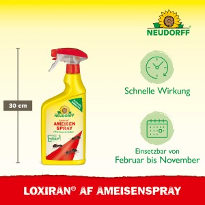 Neudorff Loxiran AF Ameisen-Spray, 750ml Flasche zur Ameisenbekämpfung im Haus und Garten.
