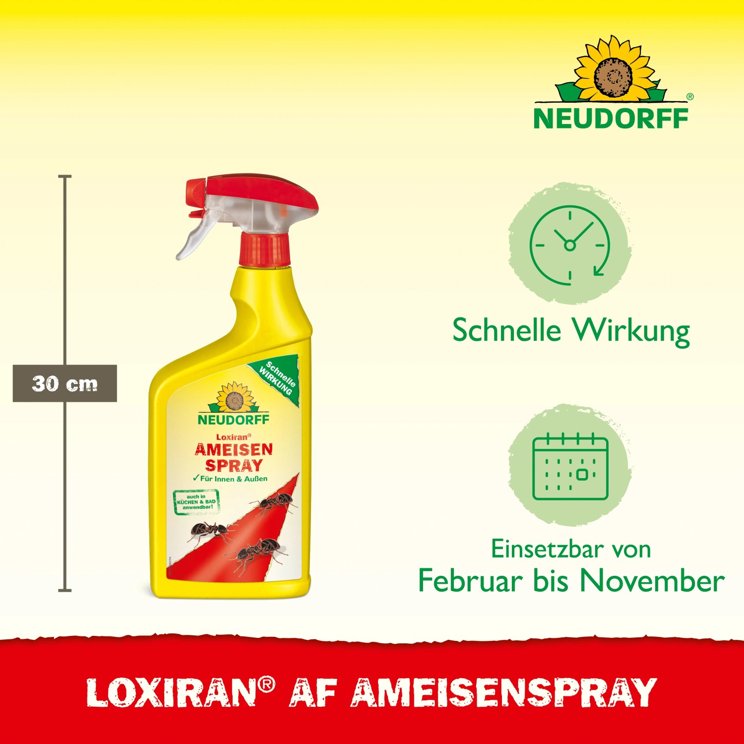 Neudorff Loxiran AF Ameisen-Spray, 750ml Flasche zur Ameisenbekämpfung im Haus und Garten.