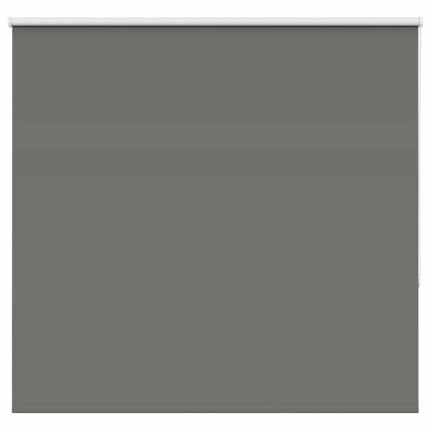 vidaXL Verdunkelungsrollo Grau 145x175cm Stoffbreite 141,6cm Polyester 4011 günstig online kaufen