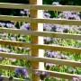 Dobar Rankhilfe Blattform 160 cm aus Lärchenholz im Garten.
