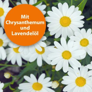 Blüten mit Hinweis auf Chrysanthemen und Lavendelöl im Ardap Zeckenspray für Tiere.