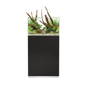 Oase Aquarium-Set ScaperLine 60 Schwarz 73 l