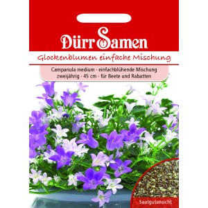 Dürr Samen Glockenblume, einfache Mischung, zweijährig, blau-weiße Blüten.