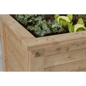Gaspo Hochbeet Gmünd aus Fichtenholz, 146x74x74 cm, mit Pflanzen befüllt.