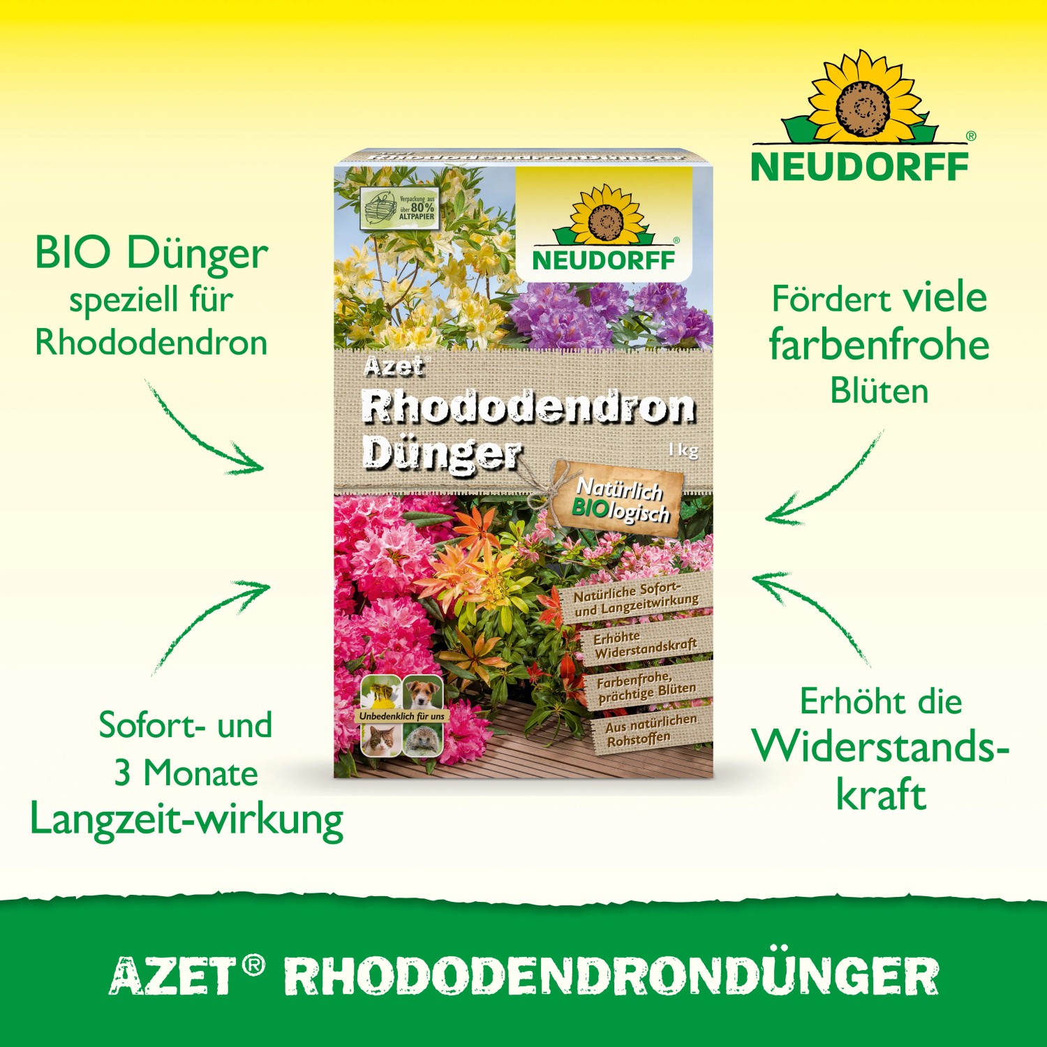 Neudorff Azet Rhododendron-Dünger 1kg Packung mit blühenden Rhododendren.