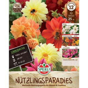 Sperli Nützlingsparadies: Blumenzwiebel-Mischung mit Dahlien, Gartengloxinien und Ixie für Bienen und Insekten.
