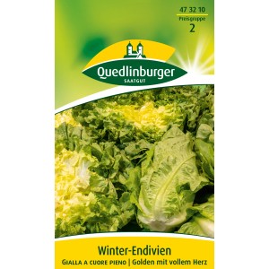 Samenpackung Winter-Endivie 'Gialla a cuore pieno' mit reifen Endivienköpfen.
