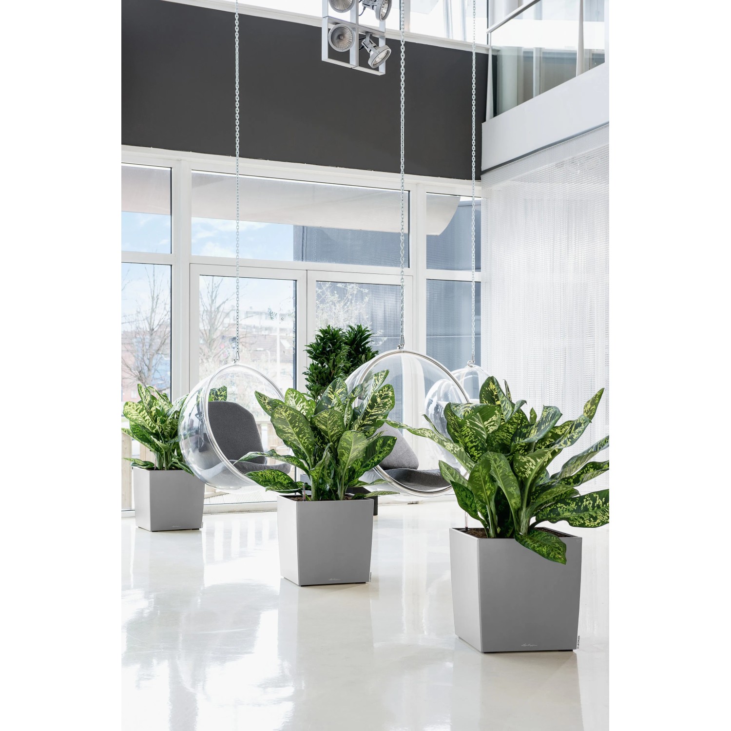 Lechuza Cube Premium Pflanzkübel, 50x50 cm, Silber metallic, mit Pflanzen im modernen Ambiente.