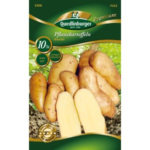 Quedlinburger Pflanzkartoffeln 'Mandel', gelbschalig, vorwiegend festkochend. Spezialität für Beet und Kübel.