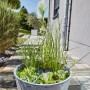 Heissner Solar-Wassergarten Aquatopia mit Pflanzen und Solarpumpe als Teichdeko.