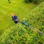 Mann schneidet hohe Hecke mit Bosch Akku-Teleskop-Heckenschere UniversalHedgePole 18 Solo.
