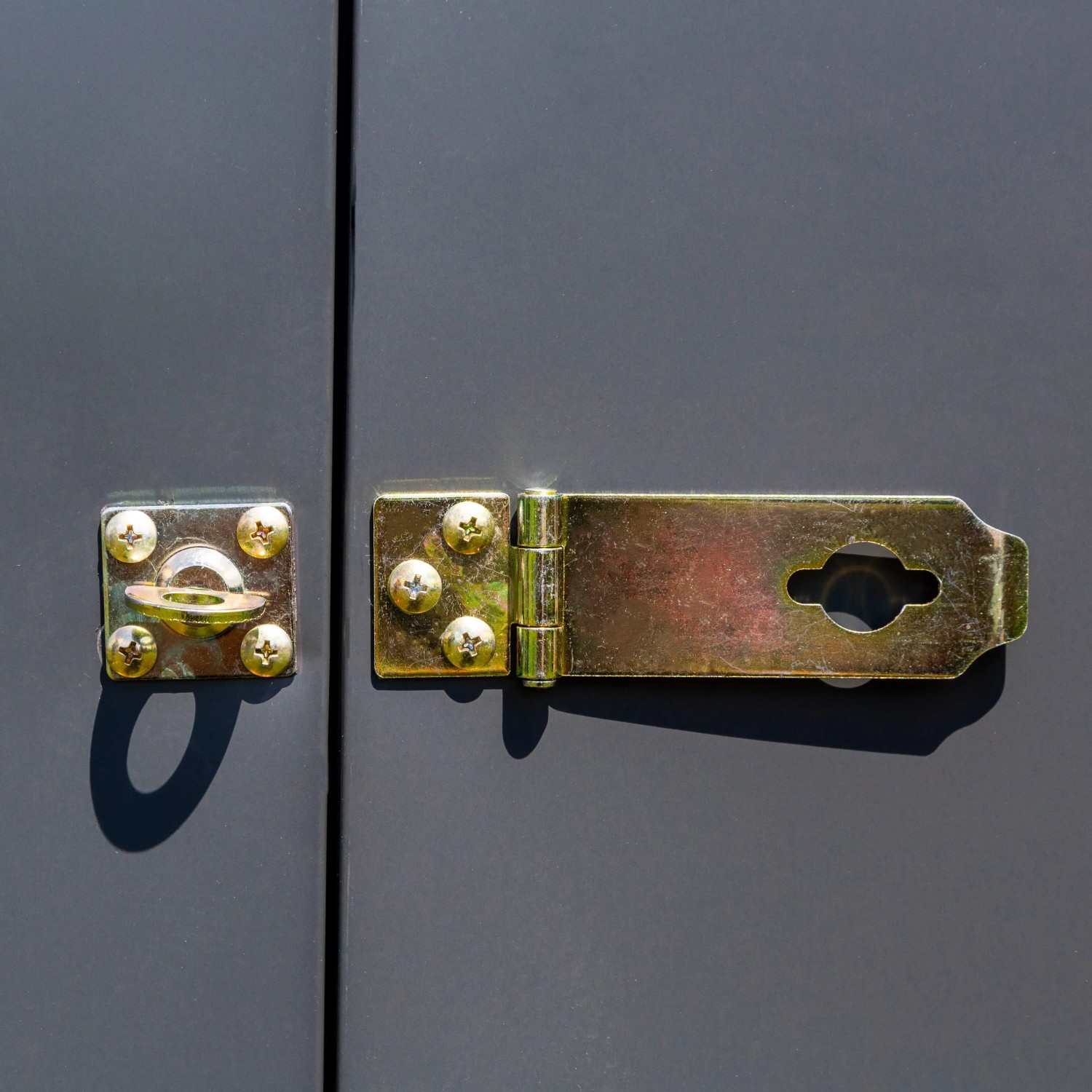 Detailaufnahme: Verschlussriegel aus Metall am Spacemaker Gerätehaus, grau.