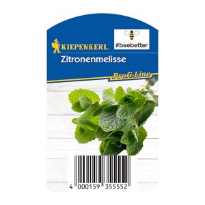 Kiepenkerl Zitronenmelisse Bee Better, Topf-Ø 12cm, frische grüne Blätter.