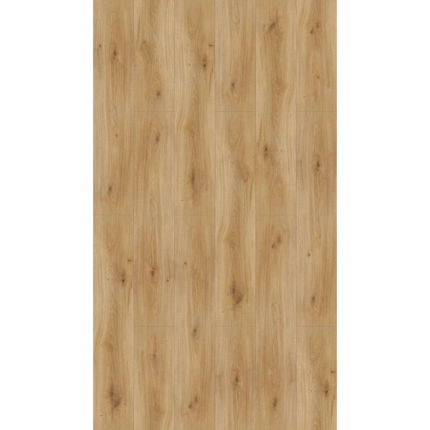 Parador Laminat Basic 600 Eiche Horizont Natur, wasserfest, 8mm stark.