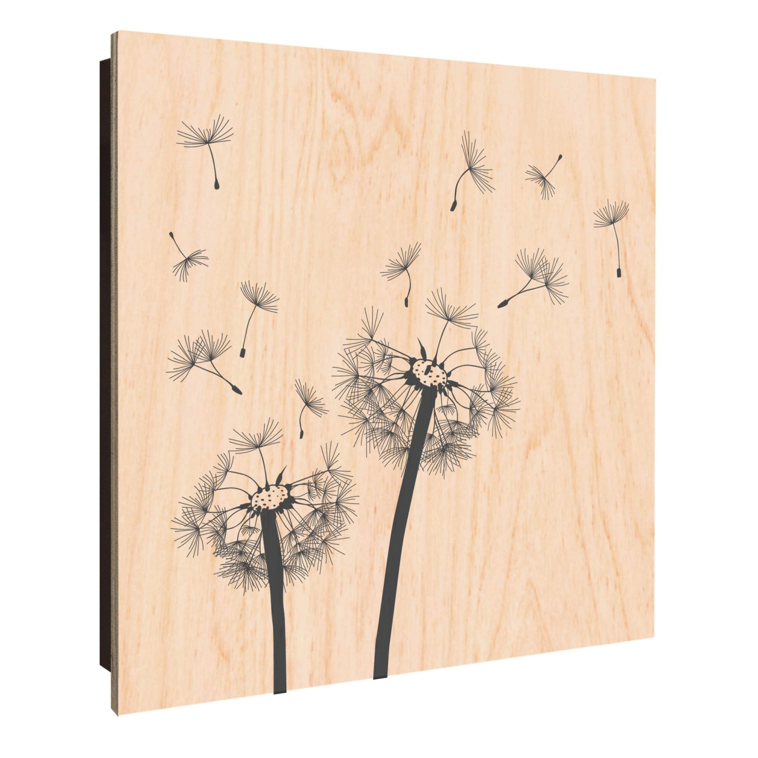 Banjado Großer Schlüsselkasten Holz 30x30cm Schwarz Scharnier Links 50 Hake günstig online kaufen