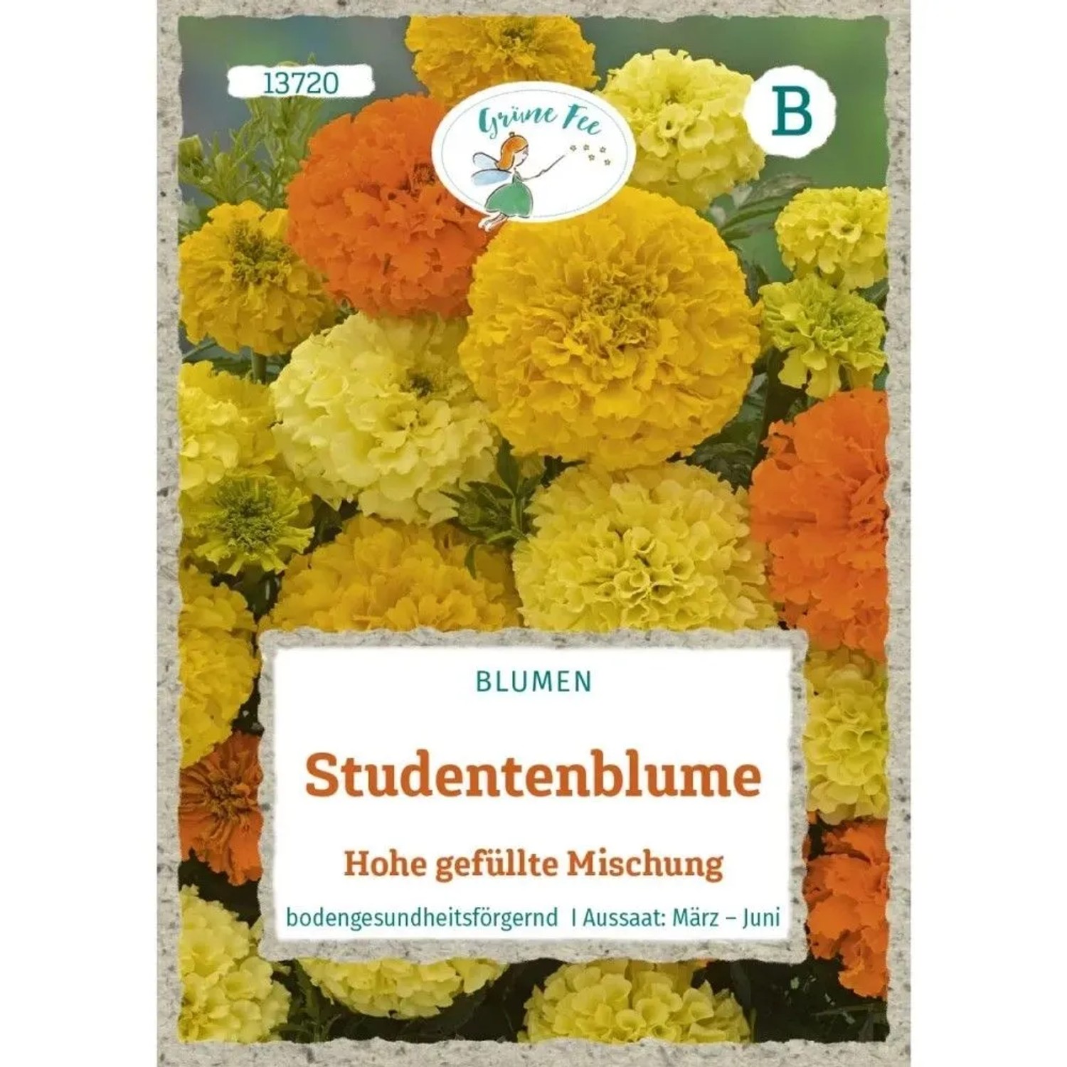 Grüne Fee Studentenblume Hohe Gefüllte Mischung Saatgut