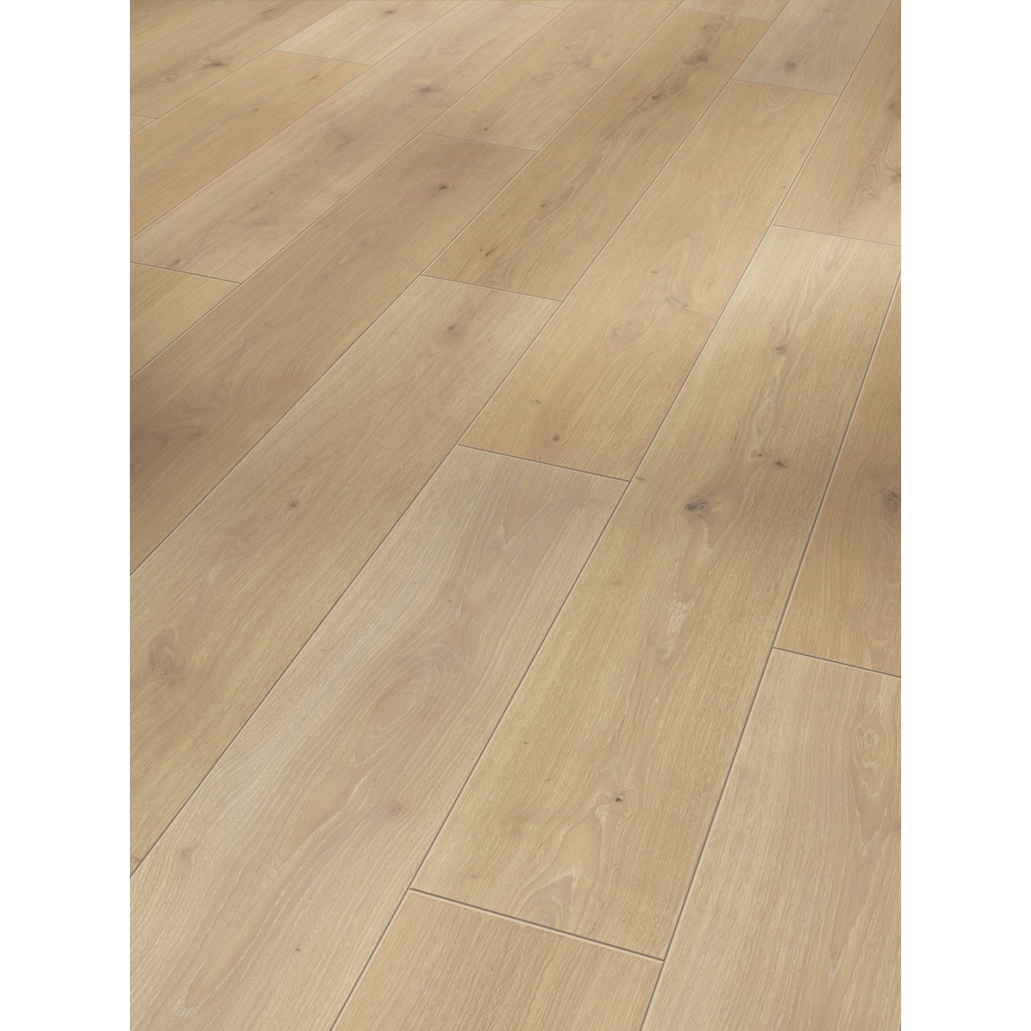 Helle, wasserfeste Parador Classic 1050 Laminat Dielen in Holzoptik, verlegt.